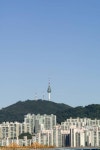남산 케이블카 역사 속으로…서울시, 곤돌라 설치 검토