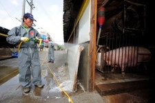 충북 진천 돼지농장에서 ‘구제역’ 의심 신고