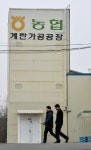 폐기물 계란 농협 가공공장, 해썹 인증받아… 한국양계농협, 해당 공장 잠정 폐쇄