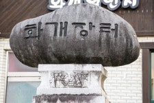 [여행] 새하얗게 샛노랗게… 봄이 널렸네