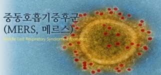 메르스 코로나바이러스란, 중증급성호흡기 질환 유발… 붐비는 장소 피해야