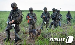 DMZ 폭발사고, 북한군이 설치한 '목함지뢰'로 드러나