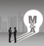 코끼리 M&A로 체한 보아뱀 건설사