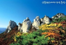 [날씨예보] 오늘(9일) 한글날, 나들이 최적… 걷기 좋은 단풍길 25선 어떠세요