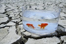 바닥 드러낸 예당저수지, 국내 최대 규모이자 중부권 최고 낚시터