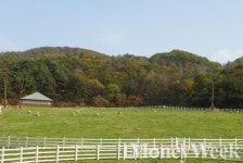 장애인과 부모가 함께하는 대장부 콘서트 개최…대관령 하늘목장, 10일 16시