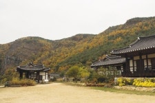 [여행] 깊고 진한 만추의 안동