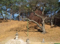 [여행] 발 들이면 멈출 수 없는 영월