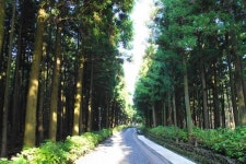 절물자연휴양림, 15일까지 봄맞이 시설 정비