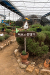 [여행] 바우덕이가 안성맞춤이네