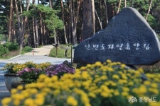 안면도자연휴양림 무료개방… 충청남도로 오세요