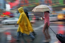 중부지방 물폭탄, 지역별 강수량 경기 가평 248·강원 양구 243·인제 236㎜