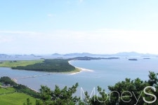신안 증도 해송 숲 관광자원화 사업 탄력