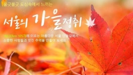 서울 단풍길 105선, 효자로·덕수궁길 등 182km… 우리 동네는 어디?