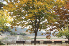 [여행] 퇴계를 따라 ‘예던길’ 걷기