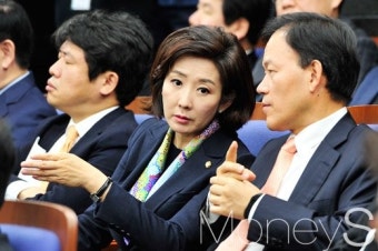 [머니S포토] 탄핵안 표결 당일, 귀엣말 나누는 나경원