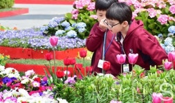 [머니S포토] 고양꽃박람회, 꽃내음에 심취하다