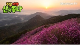 주말여행 산이좋다-천주산 편 연분홍 진달래 군락지 산행코스 소개