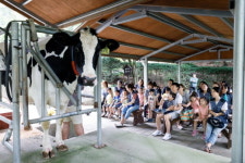 BMW 코리아 미래재단, 정기 봉사활동 진행