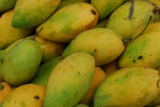 열대과일 국내 반입하면 안돼… 지난해 과태료 2억1509만원