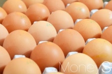 [살충제 계란 파문] 친환경 농가 60곳에서도 무더기 검출… 25곳 과다