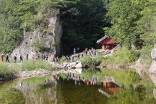 최고의 숲 10선, 단양 죽령옛길숲 등 탐방해볼까