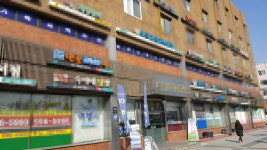 [토요부동산] 아파트에서 눈 돌리니 상가가 보였다