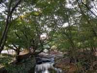 완도 청해진로 경관숲· 순천 당산숲 최우수상 수상