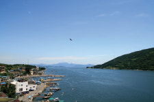 [나들이 잇카] 전국 아름다운 운전길 5선