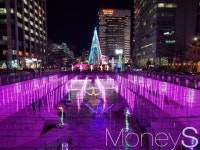 [한줌뉴스]크리스마스 트리가 반가운 이유