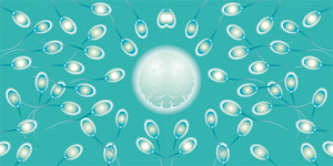 [건강] 남성 불임, 알아야 치료하지