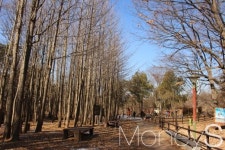 [박정웅의 여행톡] 왕의 그림자, 여기 잠들다