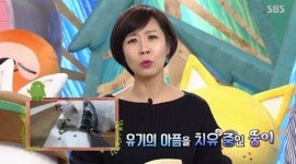 동물농장 정선희 동물유기에 쓰레기투기법 적용 이해불가