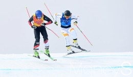 [머니S포토] 여자 스키크로스, 착지하는 스위스 