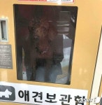 푸들 방치 논란, 마트 애견보관함에서 4시간이나 끙끙
