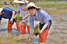 벽골제 쌀체험장:곡食이야기 | 벽골제에 가면 ‘헤이루 프렌즈’ 쌀이 있다