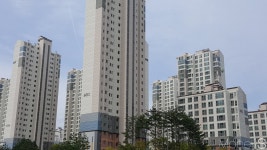 원스톱라이프 누려라… 행정타운 인근 단지 주목