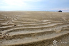 [떠나요 강심장] 해송숲, 아름다운 노을, 갯벌체험… 동호해수욕장