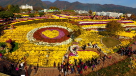 전남 화순 여행상품, GS홈쇼핑 통해 판매