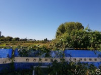 [르포] 공공임대주택 들어서는 검암동 "님비? 우린 억울하다"