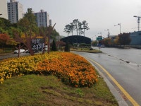 의왕시, 고천사거리 교통섬 등 3곳에 도시숲 조성