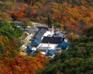 [떠나요 강심장] 붉은 단풍과 은빛 억새에 취하다… 울산 석남사·간월재