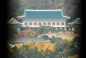 靑 경호처 직원, 술 취해 시민 폭행 후 