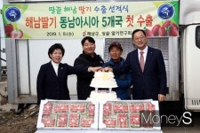 전남 해남 딸기, 동남아시아 5개국 첫 수출길 오르다