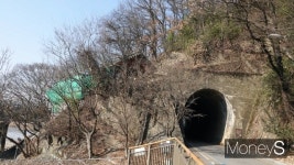 [박성기의 걷는 자의 기쁨] 움트는 봄기운 즈려밟고…
