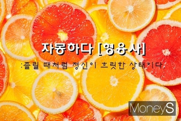 '자몽하다'와 같은 우리말 뭐가 있을까 | 포토뉴스