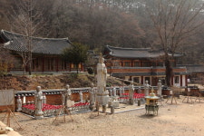 [떠나요 강심장] 티베트 타르초 나부끼는 다향(茶鄕)