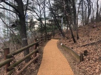 용인시, 기흥·수지 근린공원 노후 산책로 정비