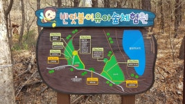 수원시, 광교산 삼림욕장에 반딧불이 유아숲 체험원 개장