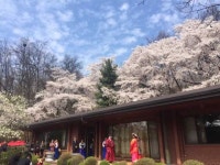 안양시 예절교육관, 원형복원 전통혼례 열려